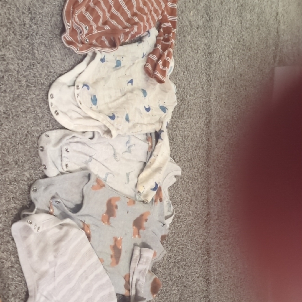 Assorted Animal Print Kids One Pieces